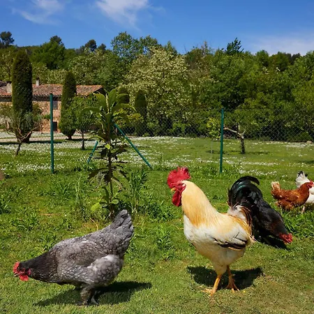 Country house Bonet - La Volta Sant Marti Vell