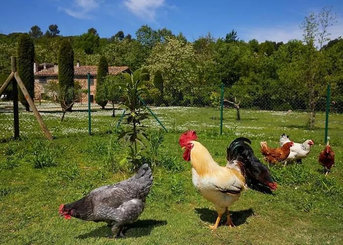 Country house Bonet - La Volta Sant Marti Vell